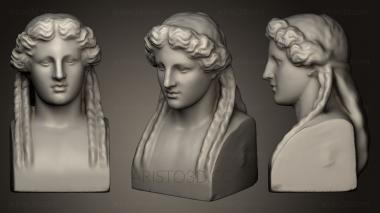 Busts and heads antique and historical (BUSTA_0412) 3D model for CNC machine